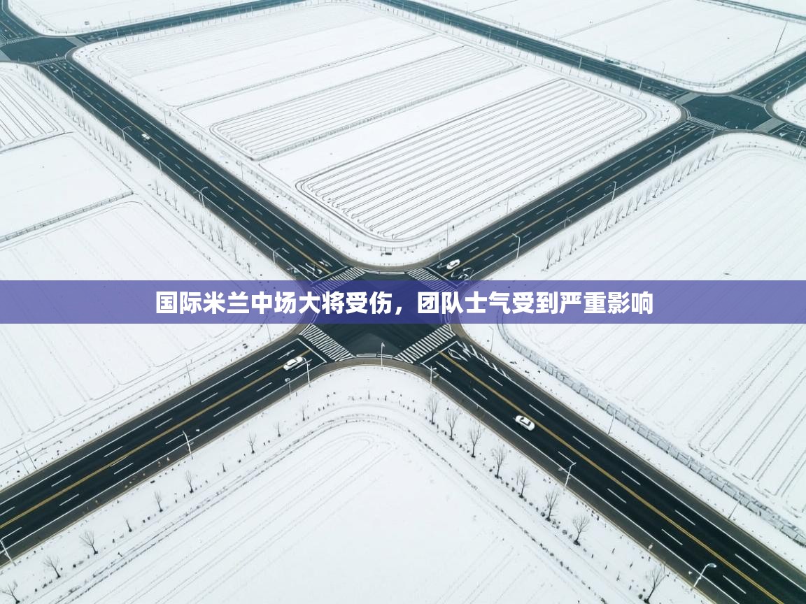 国际米兰中场大将受伤,团队士气受到严重影响 第2张