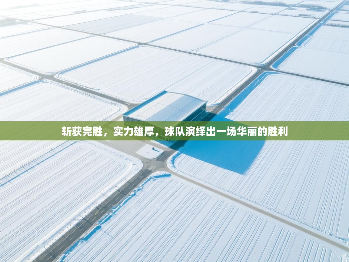 斩获完胜，实力雄厚，球队演绎出一场华丽的胜利