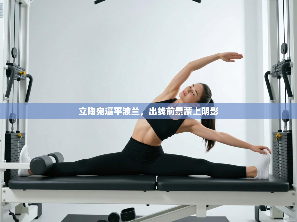 立陶宛逼平波兰，出线前景蒙上阴影  第1张