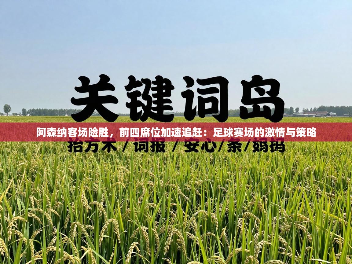 阿森纳客场险胜，前四席位加速追赶：足球赛场的激情与策略  第1张